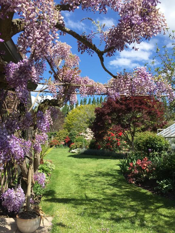 基督城 Rhododendron Garden酒店 外观 照片