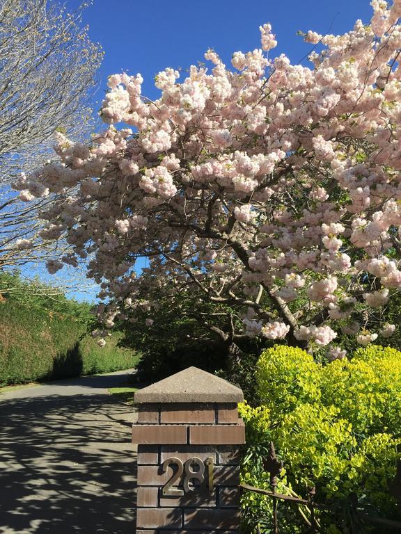 基督城 Rhododendron Garden酒店 外观 照片