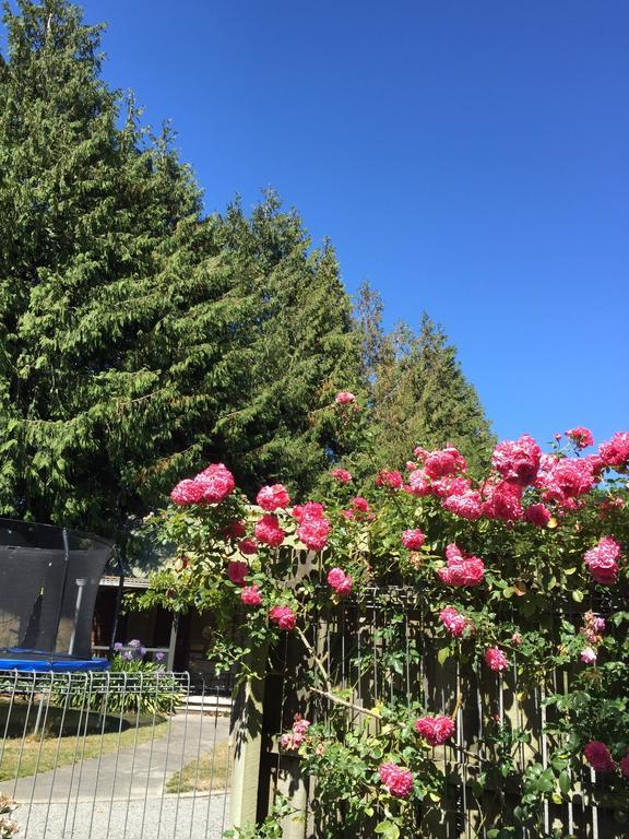 基督城 Rhododendron Garden酒店 外观 照片